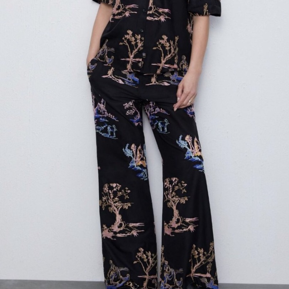 Zara Embroidered Pants + Top set. Size Medium.